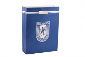 Punga de cadou mare