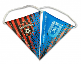 Fanion Universitatea Craiova - Spartak Trnava