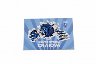 Magnet UCV