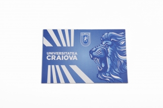 Magnet Universitatea Craiova