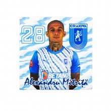 Magnet Alexandru Mitriță