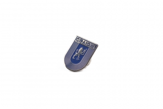 Insigna pin